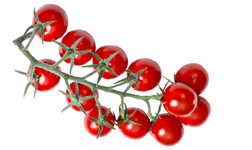 Arikeh tomato product